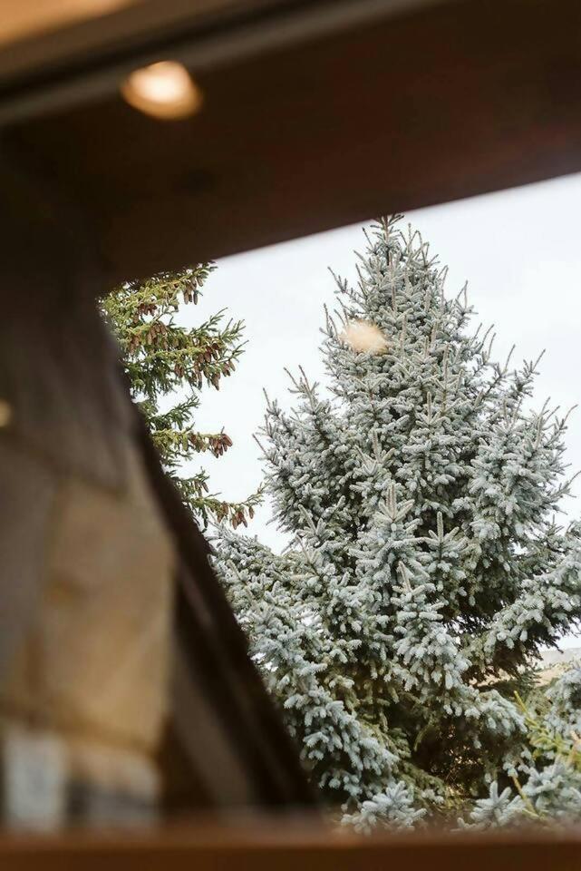 RESPOMUSO - Formigal, con jardín y tus mascotas son bienvenidas Exterior foto